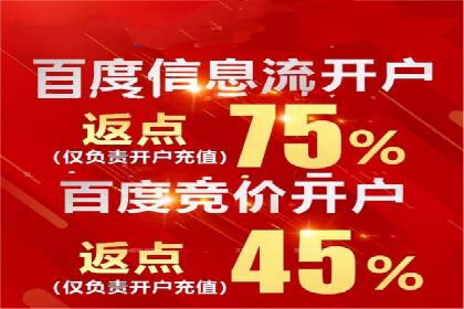 百度竞价成功案例解析